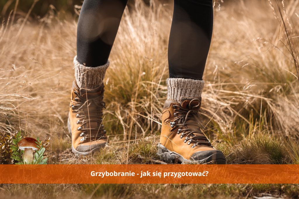 grzybobranie-jak-sie-przygotowac