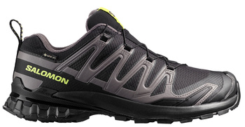 Buty do biegania męskie Salomon XA PRO 3D V9 GTX Gore-Tex (479873)