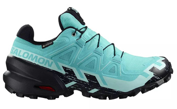 Buty do biegania w terenie SALOMON SPEEDCROSS 6 GTX Gore-tex (477656)