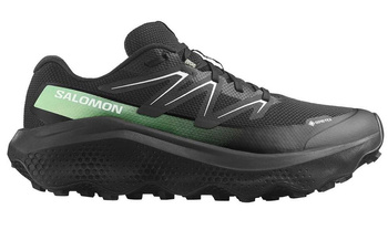 Buty do biegania męskie Salomon ULTRA FLOW 2 GTX Gore-Tex (479814)