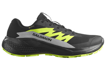 Buty do biegania męskie SALOMON ALPHAGLIDE GTX Gore-Tex (478020)