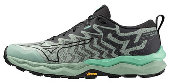 Buty do biegania w terenie Mizuno WAVE DAICHI 8 (J1GJ247103)