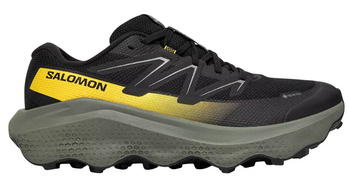Buty do biegania męskie Salomon ULTRA FLOW 2 GTX Gore-Tex (478832)