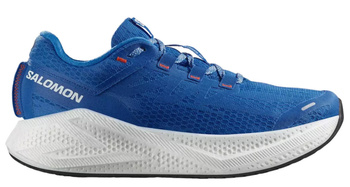 Buty do biegania męskie Salomon AERO GLIDE 3 (478105)