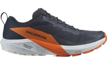 Buty  do biegania męskie Salomon SENSE RIDE 5 GTX Gore-Tex (474594)