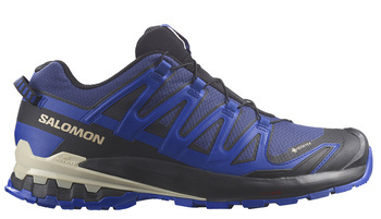 Buty do biegania męskie Salomon XA PRO 3D V9 GTX Gore-Tex (472703)