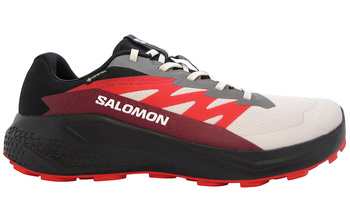 Buty męskie SALOMON ALPHAGLIDE GTX Gore-TEX (478022)