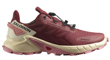 Buty do biegania w terenie SALOMON SUPERCROSS 4 GTX Gore-TEX (473168)