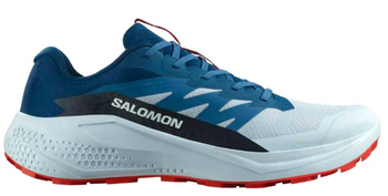 Buty do biegania męskie SALOMON ALPHAGLIDE (477243)